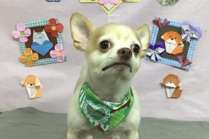 2月のお友達☆