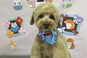 2月のお友達☆