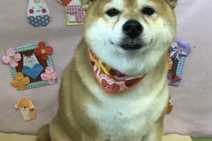 2月のお友達☆