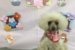 2月のお友達⭐︎