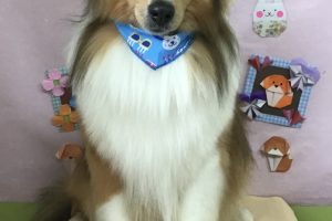 2月のお友達☆