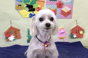 2月のお友達☆