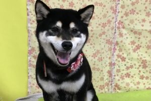 3月のお友達☆