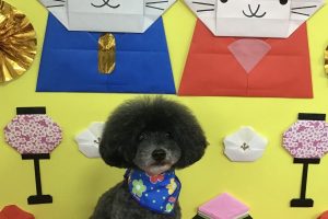 3月のお友達☆