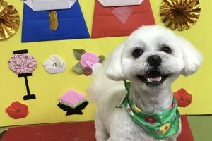 3月のお友達☆