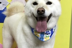 3月のお友達☆