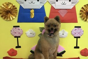 3月のお友達☆
