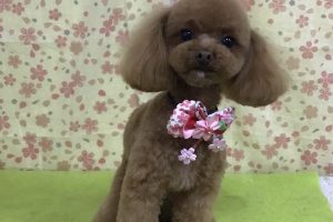 3月のお友達☆
