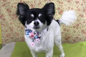 3月のお友達☆