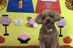 3月のお友達☆