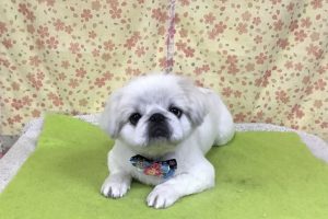3月のお友達☆