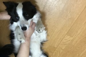 お泊まり中☆