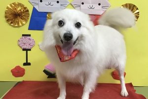 3月のお友達☆