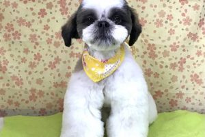 3月のお友達☆