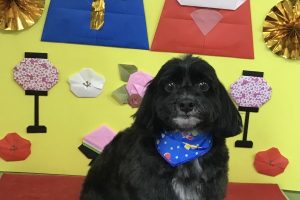 3月のお友達☆