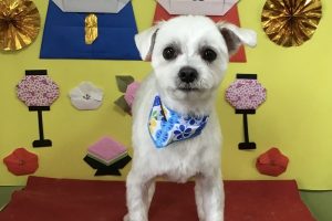 3月のお友達☆