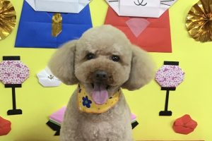 3月のお友達☆