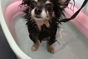 3月のお友達☆