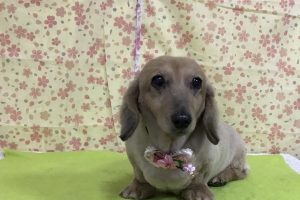 3月のお友達☆