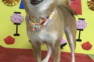 3月のお友達☆