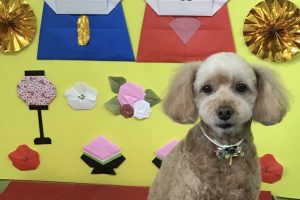 3月のお友達☆
