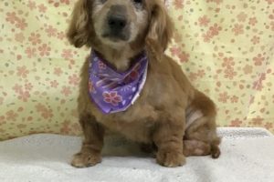 3月のお友達☆