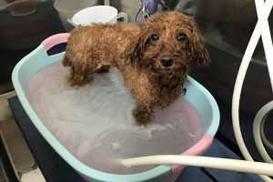 3月のお友達☆