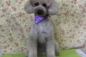 3月のお友達☆