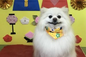 3月のお友達☆