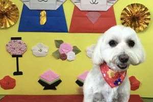3月のお友達☆