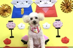 3月のお友達☆