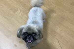 お泊り☆