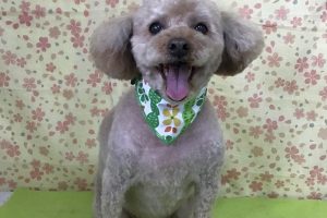 3月のお友達☆