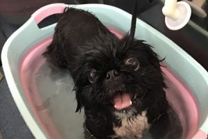 3月のお友達☆