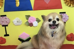 3月のお友達☆