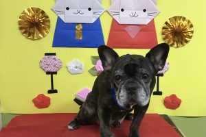 3月のお友達☆