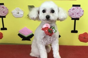 3月のお友達☆