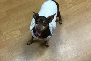 3月のお友達☆