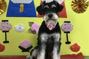 3月のお友達☆
