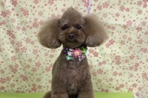 3月のお友達☆