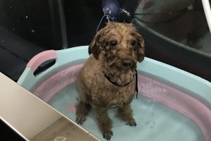 3月のお友達☆