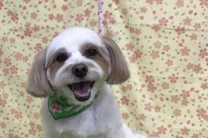 3月のお友達☆