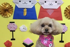 3月のお友達☆