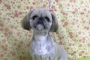 3月のお友達☆