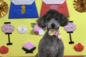 3月のお友達☆