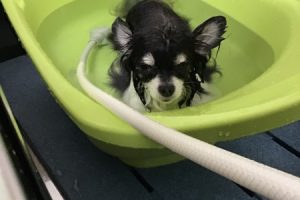 3月のお友達☆