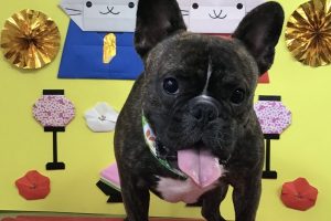 3月のお友達☆