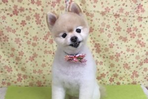 3月のお友達☆