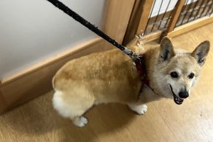 お泊り☆