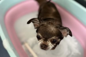 3月のお友達☆